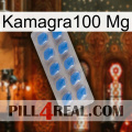 Kamagra100 Mg 22